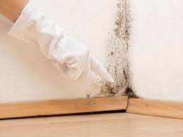 Mold Remediation for Vacation Homes in Luling, TX